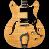 HAGSTROM Guitars Biography