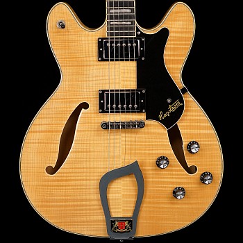 HAGSTROM Guitars -&nbsp;